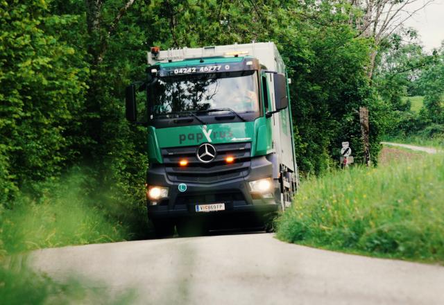 Papyrus LKW im Grünen